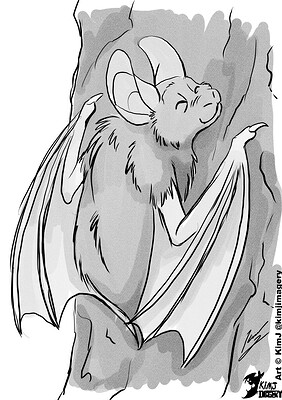 Bat sketch_KimJ