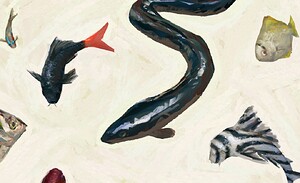 impasto_fish__CLOSE1