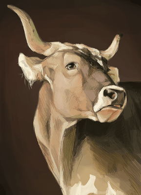 cow