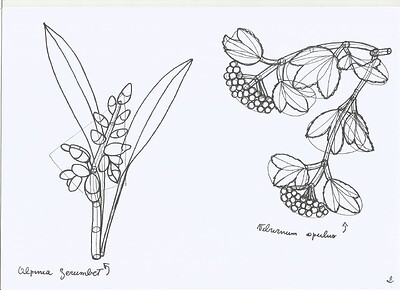 plant-construction-2