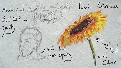 Aura Pencil Sketches