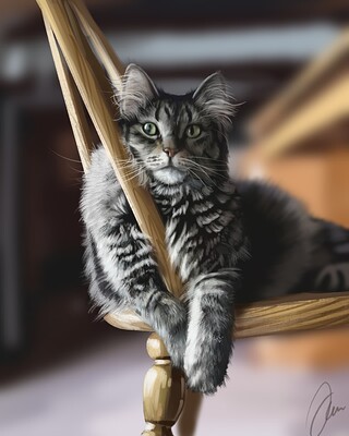 Kitty in Chair