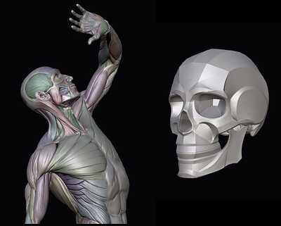 forum_2SCR-20230508-cbx