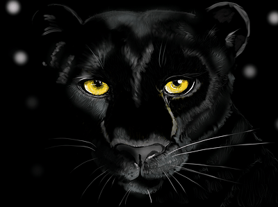 puma