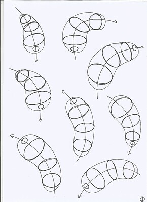 organic-form-with-contour-ellipses