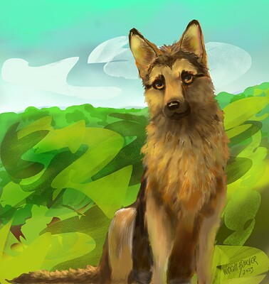 dog_sitting