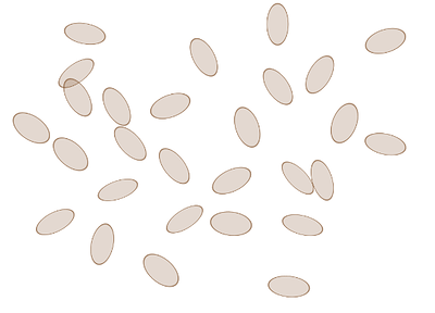 Squashed Rotated Circles