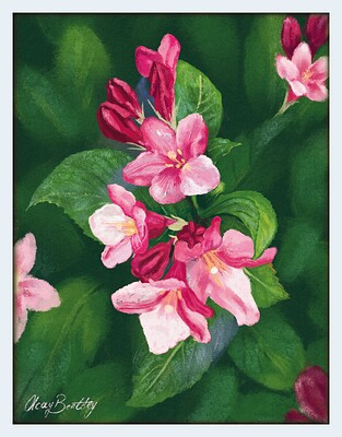 flora framed