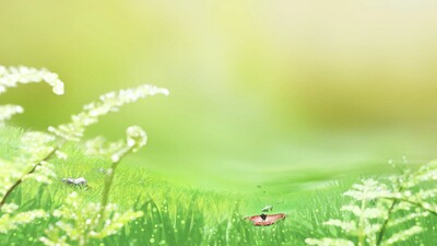 The Golden Light 4K.mp4_snapshot_02.52_2021.01.06_18.39.56