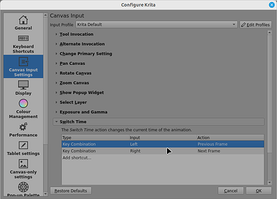 Animation Canvas Inputs