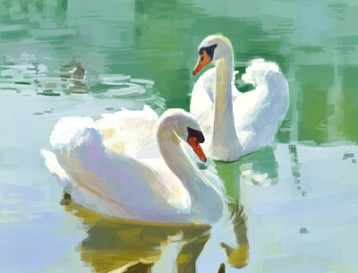swans