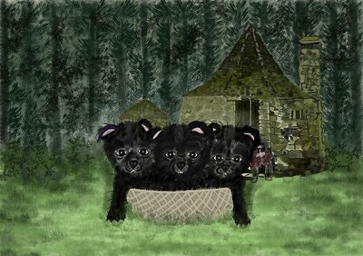 Baby Fluffy in front of Hagrids Hut