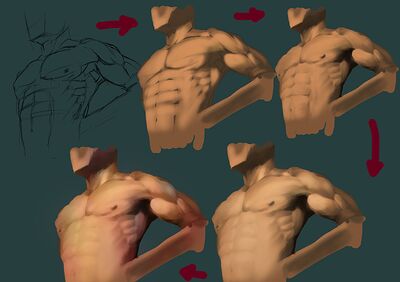chest 2