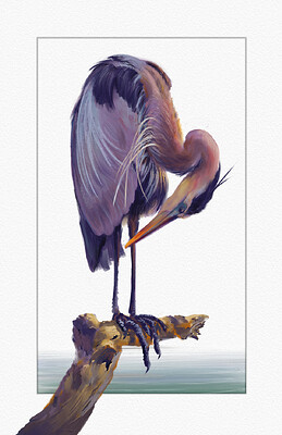 heron11