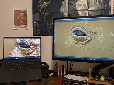PXL_20240627_101527964