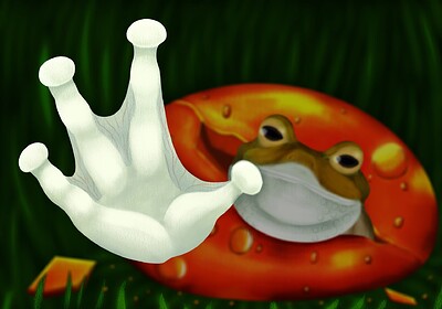 Amber Frog