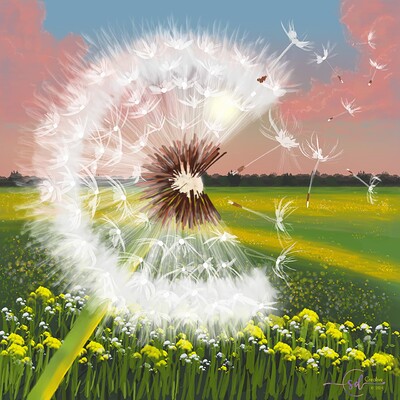 Krita Monthly Challenge 1124 - Fluffy Dandelion