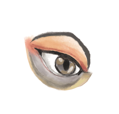 doll eye study