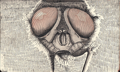 Sketchbook tour_0014