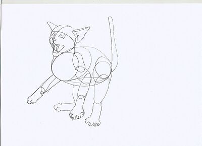 cat3