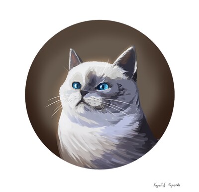Brush test cat