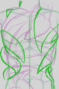 tatouwip