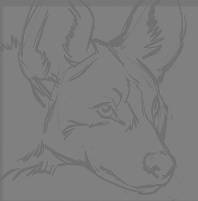 Screenshot 2024-03-04 035316