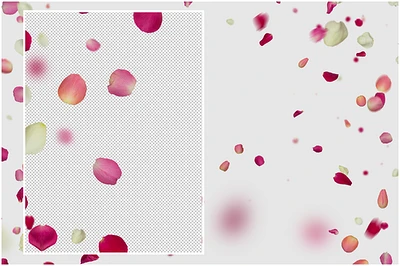 Mix Pink and White Petals (4)