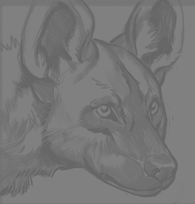 Screenshot 2024-03-04 041019