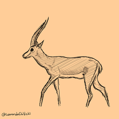 gazelle_sketch