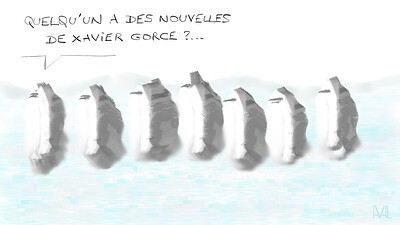 20250927 pingouins orphelins de X. Gorce