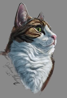 Cat Portrait