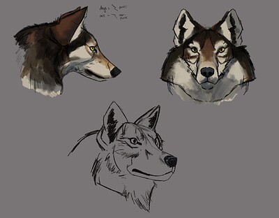 Lesson 1 - Wolf Skulls