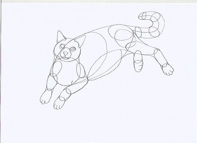 cat1
