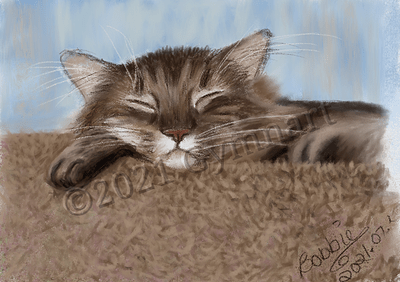Contentment-PurrzcyCatwtrmk-smler