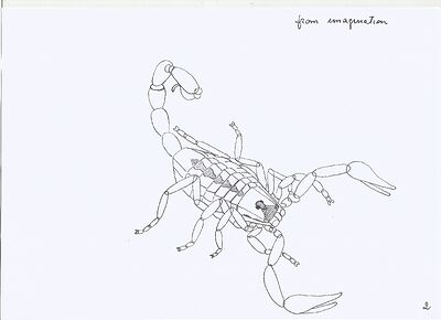scorpion-from-imagination