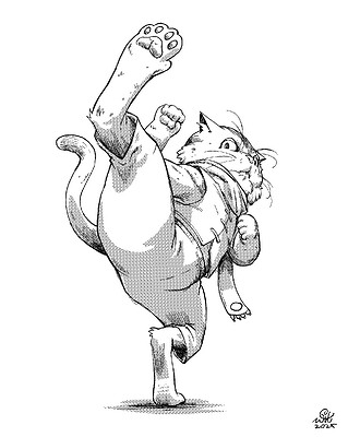 CatFighter01-03