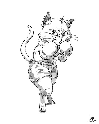 CatFighter01-10