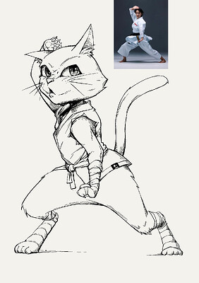 CatFighter01-Karate
