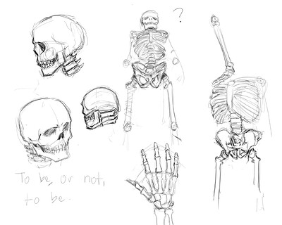 Bones