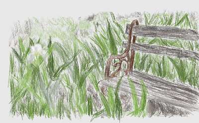 bench-whiteiris