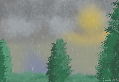Rainy Forest