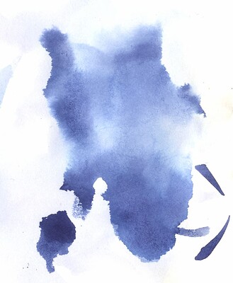 bear-1