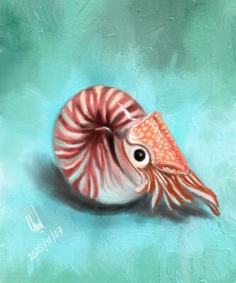 Nautilus