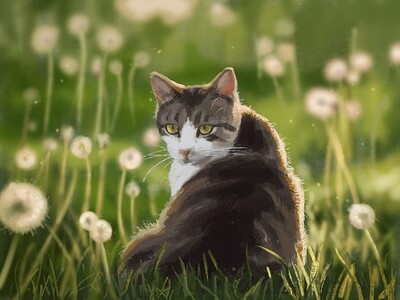 Cat and Plant