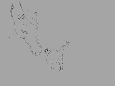 Curious Animals1