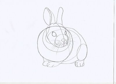 rabbit2
