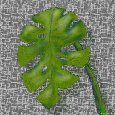 Monstera (RGBA) 2048