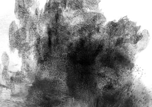 DigiInkblot4