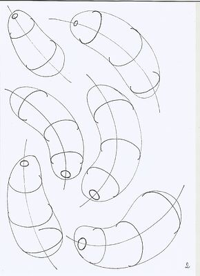 contour-curves2